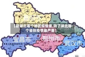 【除湖北哪个地区疫情重,除了湖北哪个省份疫情最严重】