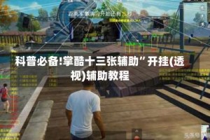 科普必备!掌酷十三张辅助”开挂(透视)辅助教程