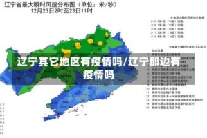 辽宁其它地区有疫情吗/辽宁那边有疫情吗