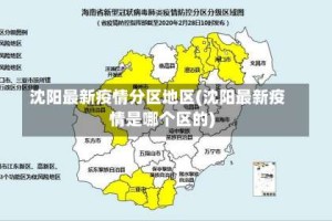 沈阳最新疫情分区地区(沈阳最新疫情是哪个区的)