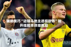 辅助技巧“边锋斗地主透视软件”附开挂脚本详细教程