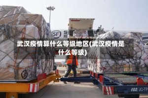 武汉疫情算什么等级地区(武汉疫情是什么等级)