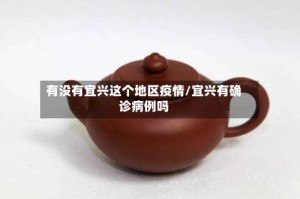 有没有宜兴这个地区疫情/宜兴有确诊病例吗