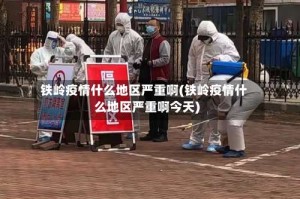 铁岭疫情什么地区严重啊(铁岭疫情什么地区严重啊今天)