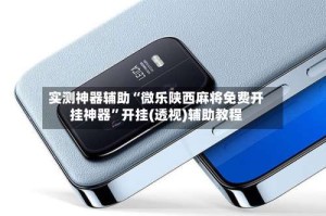 实测神器辅助“微乐陕西麻将免费开挂神器”开挂(透视)辅助教程