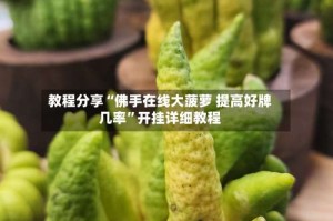 教程分享“佛手在线大菠萝 提高好牌几率”开挂详细教程
