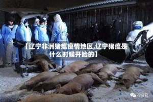 【辽宁非洲猪瘟疫情地区,辽宁猪瘟是什么时候开始的】