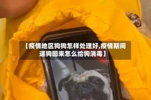【疫情地区狗狗怎样处理好,疫情期间遛狗回来怎么给狗消毒】