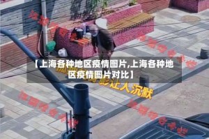 【上海各种地区疫情图片,上海各种地区疫情图片对比】