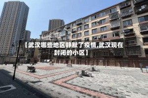 【武汉哪些地区静默了疫情,武汉现在封闭的小区】