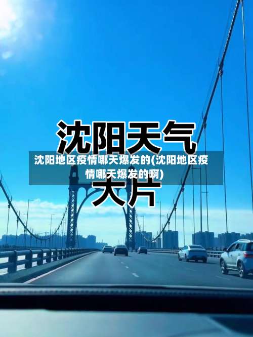 沈阳地区疫情哪天爆发的(沈阳地区疫情哪天爆发的啊)-第1张图片