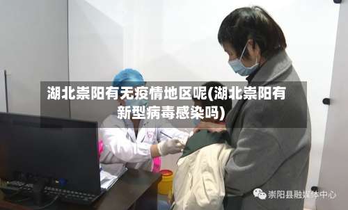 湖北崇阳有无疫情地区呢(湖北崇阳有新型病毒感染吗)-第1张图片