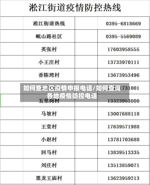 如何查地区疫情申报电话/如何查询各地疫情防控电话-第2张图片