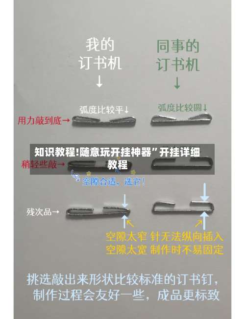 知识教程!随意玩开挂神器”开挂详细教程-第2张图片