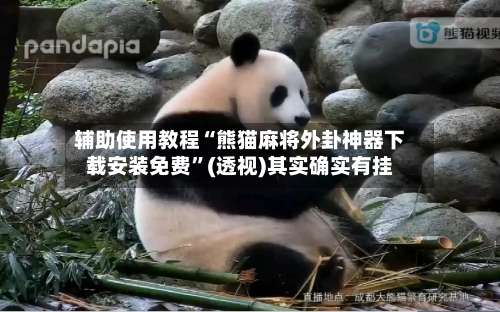 辅助使用教程“熊猫麻将外卦神器下载安装免费	”(透视)其实确实有挂-第2张图片