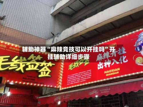 辅助神器“麻辣竞技可以开挂吗”开挂辅助详细步骤-第3张图片