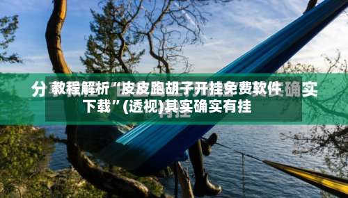 教程解析“皮皮跑胡子开挂免费软件下载”(透视)其实确实有挂-第1张图片