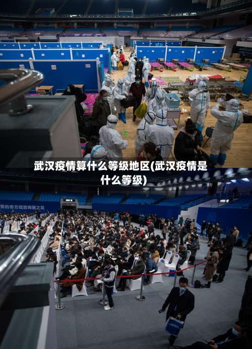 武汉疫情算什么等级地区(武汉疫情是什么等级)-第2张图片