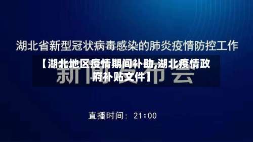 【湖北地区疫情期间补助,湖北疫情政府补贴文件】-第1张图片