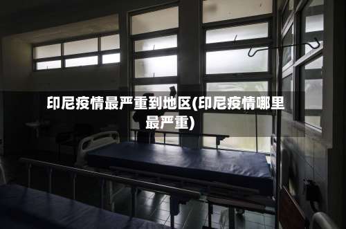 印尼疫情最严重到地区(印尼疫情哪里最严重)-第2张图片