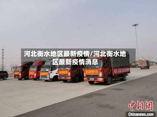 河北衡水地区最新疫情/河北衡水地区最新疫情消息-第1张图片