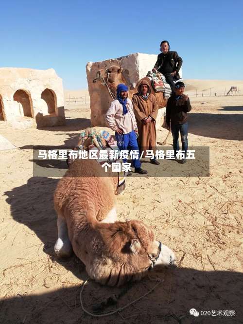 马格里布地区最新疫情/马格里布五个国家-第1张图片