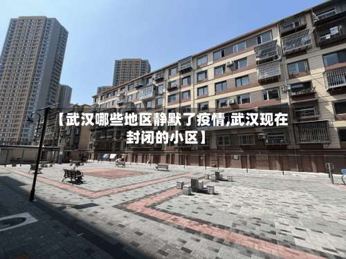 【武汉哪些地区静默了疫情,武汉现在封闭的小区】-第1张图片