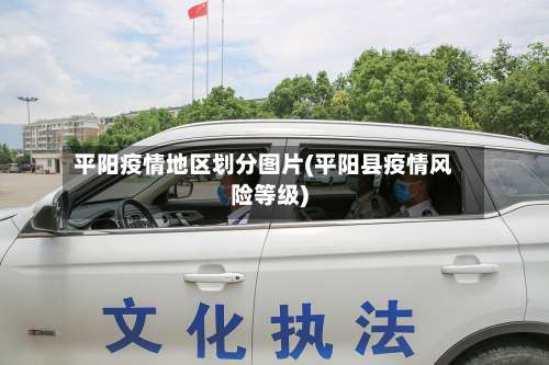 平阳疫情地区划分图片(平阳县疫情风险等级)-第2张图片