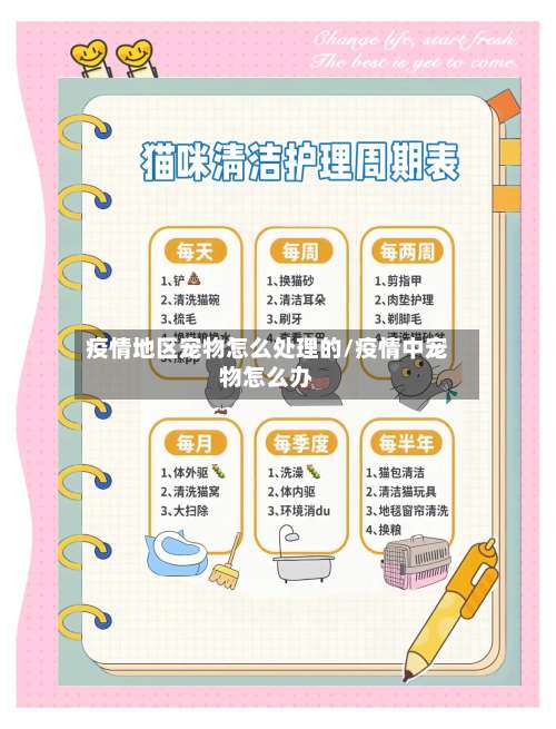 疫情地区宠物怎么处理的/疫情中宠物怎么办-第2张图片