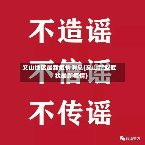 文山地区最新疫情消息(文山新型冠状最新疫情)-第1张图片