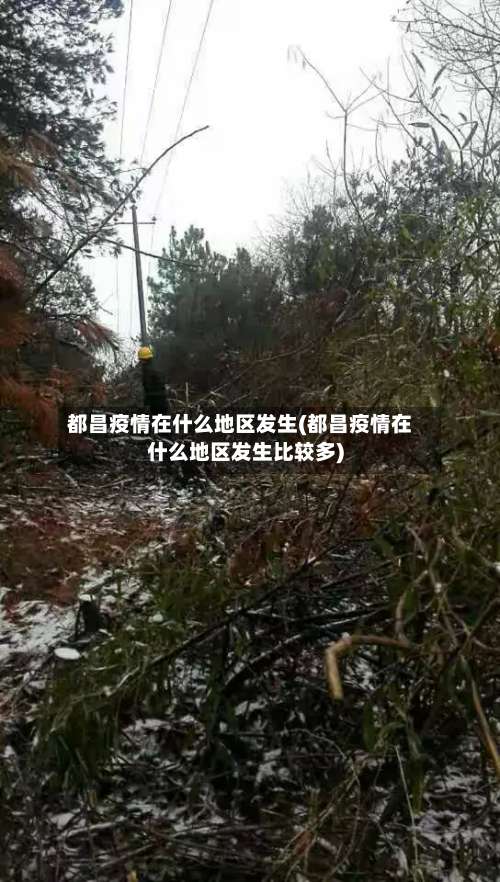 都昌疫情在什么地区发生(都昌疫情在什么地区发生比较多)-第1张图片