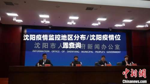 沈阳疫情监控地区分布/沈阳疫情位置查询-第2张图片