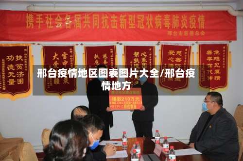 邢台疫情地区图表图片大全/邢台疫情地方-第2张图片