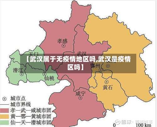 【武汉属于无疫情地区吗,武汉是疫情区吗】-第2张图片