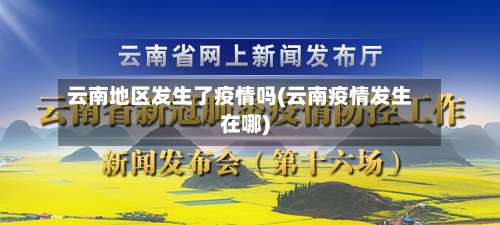 云南地区发生了疫情吗(云南疫情发生在哪)-第3张图片