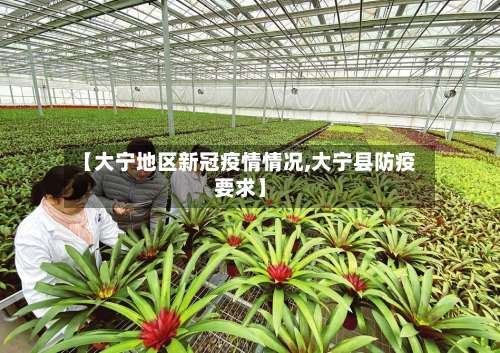 【大宁地区新冠疫情情况,大宁县防疫要求】-第2张图片