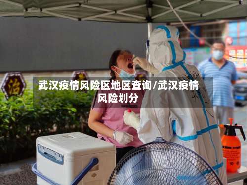 武汉疫情风险区地区查询/武汉疫情风险划分-第2张图片