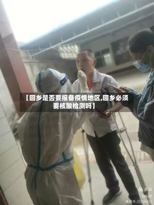 【回乡是否要报备疫情地区,回乡必须要核酸检测吗】-第2张图片
