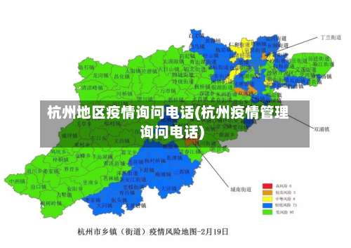 杭州地区疫情询问电话(杭州疫情管理询问电话)-第3张图片