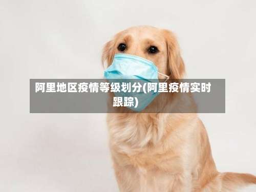阿里地区疫情等级划分(阿里疫情实时跟踪)-第2张图片
