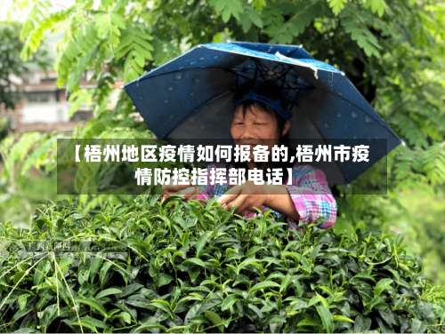 【梧州地区疫情如何报备的,梧州市疫情防控指挥部电话】-第3张图片