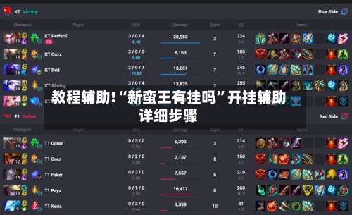 教程辅助!“新蛮王有挂吗	”开挂辅助详细步骤-第2张图片