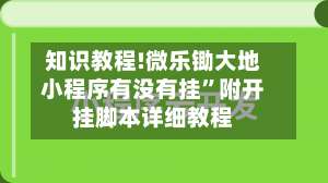 知识教程!微乐锄大地小程序有没有挂”附开挂脚本详细教程-第2张图片