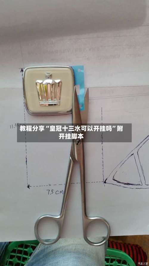 教程分享“皇冠十三水可以开挂吗	”附开挂脚本-第2张图片