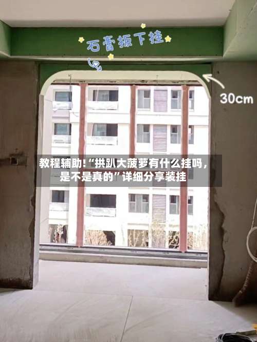 教程辅助!“拱趴大菠萝有什么挂吗，是不是真的”详细分享装挂-第2张图片