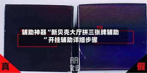 辅助神器“新贝壳大厅拼三张牌辅助	”开挂辅助详细步骤-第1张图片