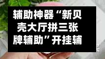 辅助神器“新贝壳大厅拼三张牌辅助”开挂辅助详细步骤-第2张图片
