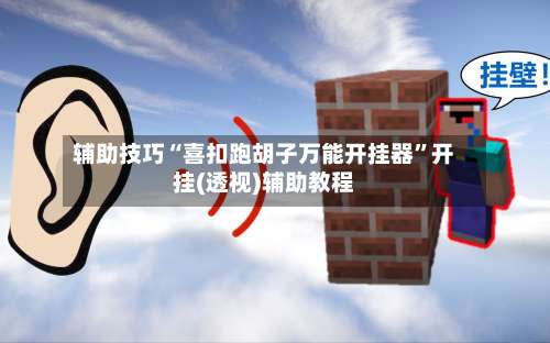 辅助技巧“喜扣跑胡子万能开挂器	”开挂(透视)辅助教程-第3张图片