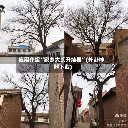 应用介绍“家乡大贰开挂器	”(外卦神器下载)-第2张图片