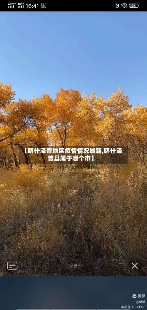【喀什泽普地区疫情情况最新,喀什泽普县属于哪个市】-第1张图片